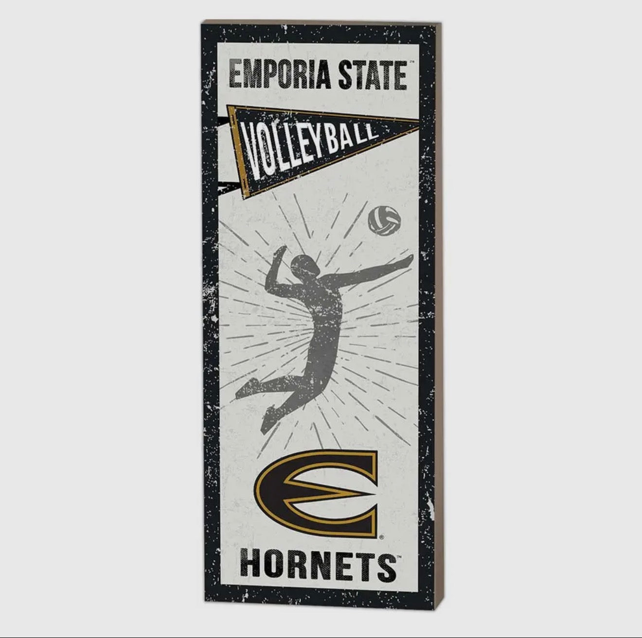 7x18 ESU Volleyball Sign