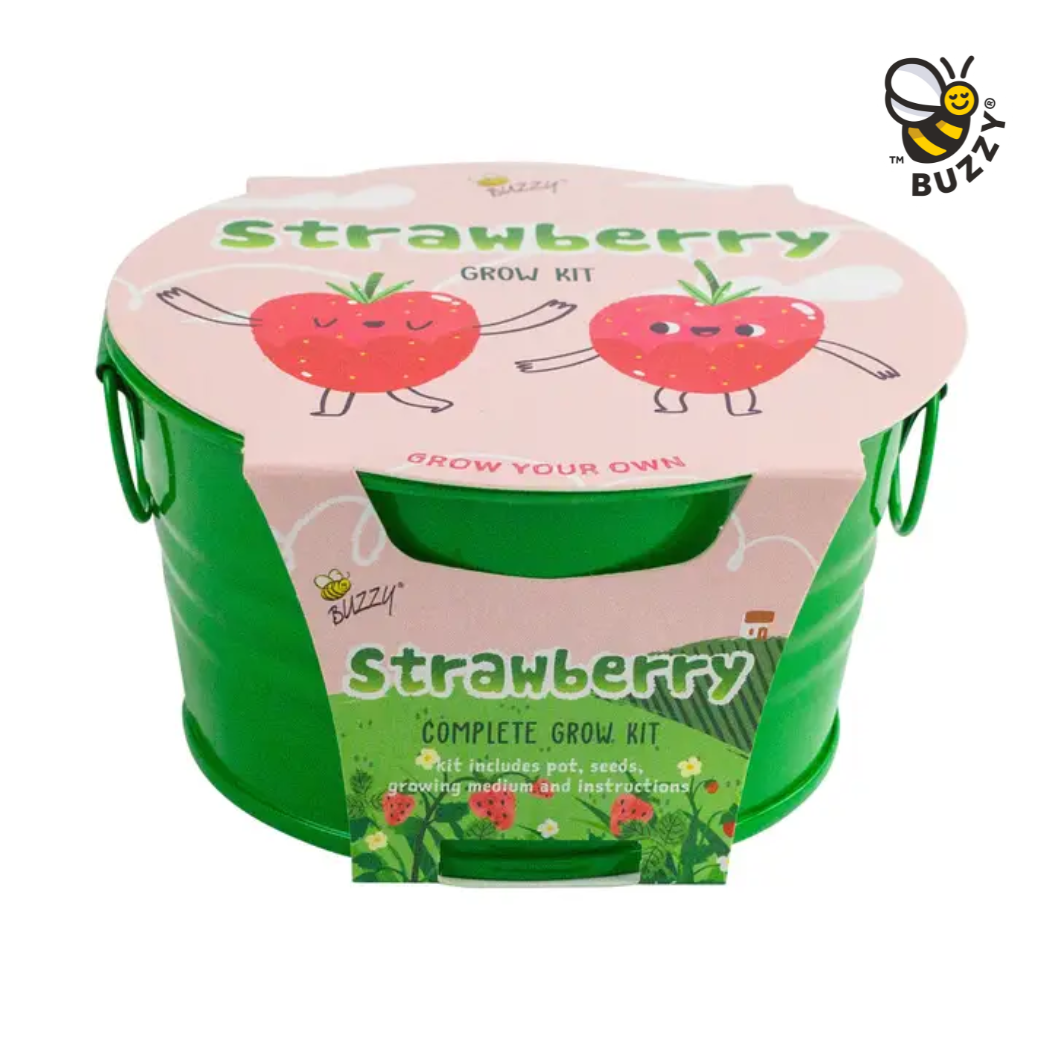 Kids Mini Basin Strawberry Grow Kit – Indoor Garden Gift