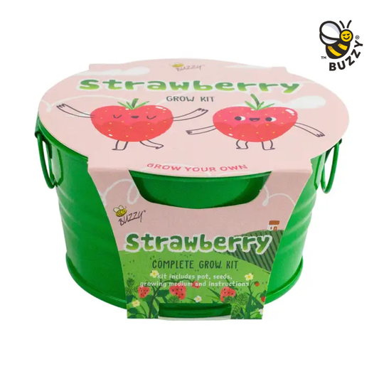 Kids Mini Basin Strawberry Grow Kit – Indoor Garden Gift