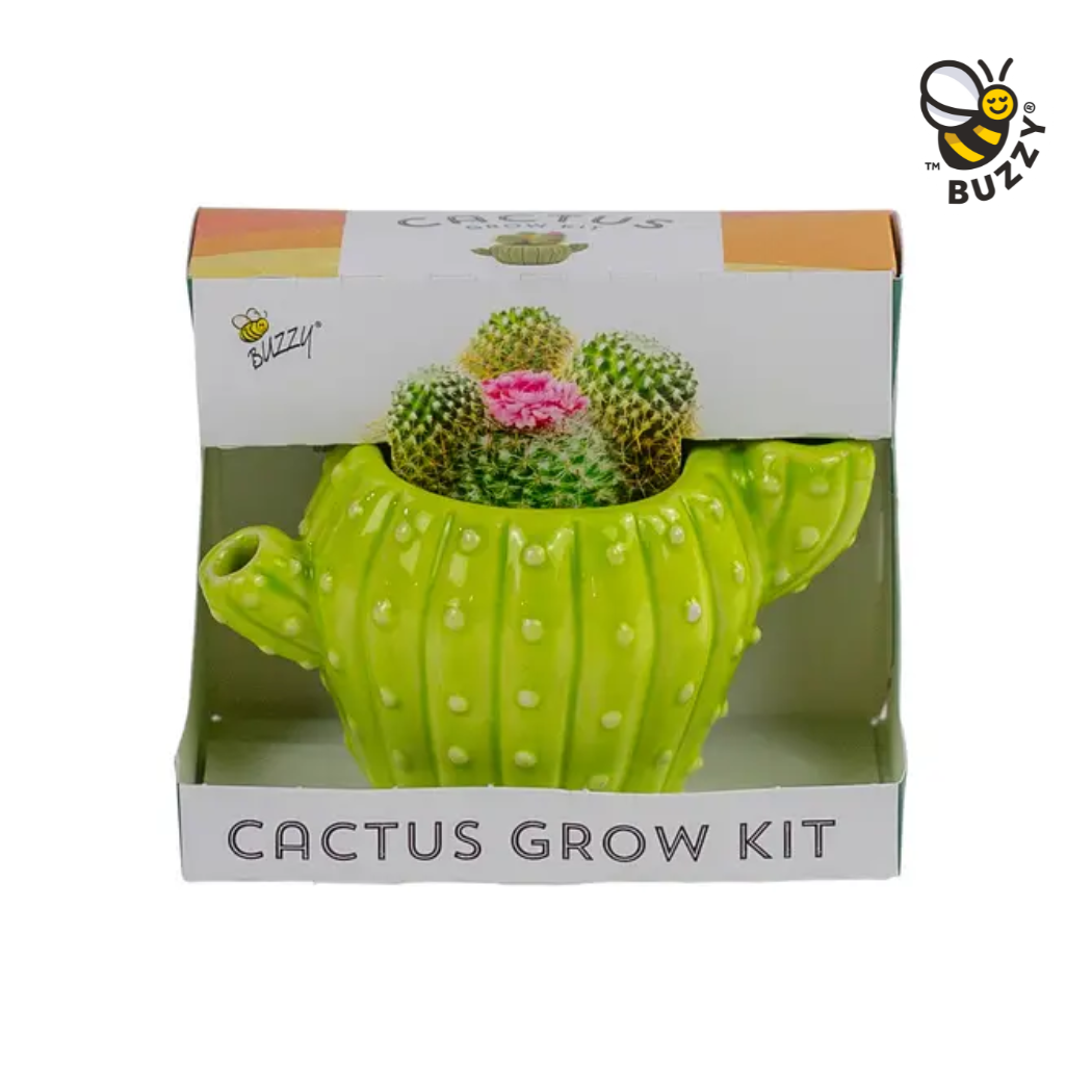 Classic Cactus Grow Kit – Terracotta Indoor Plant Gift