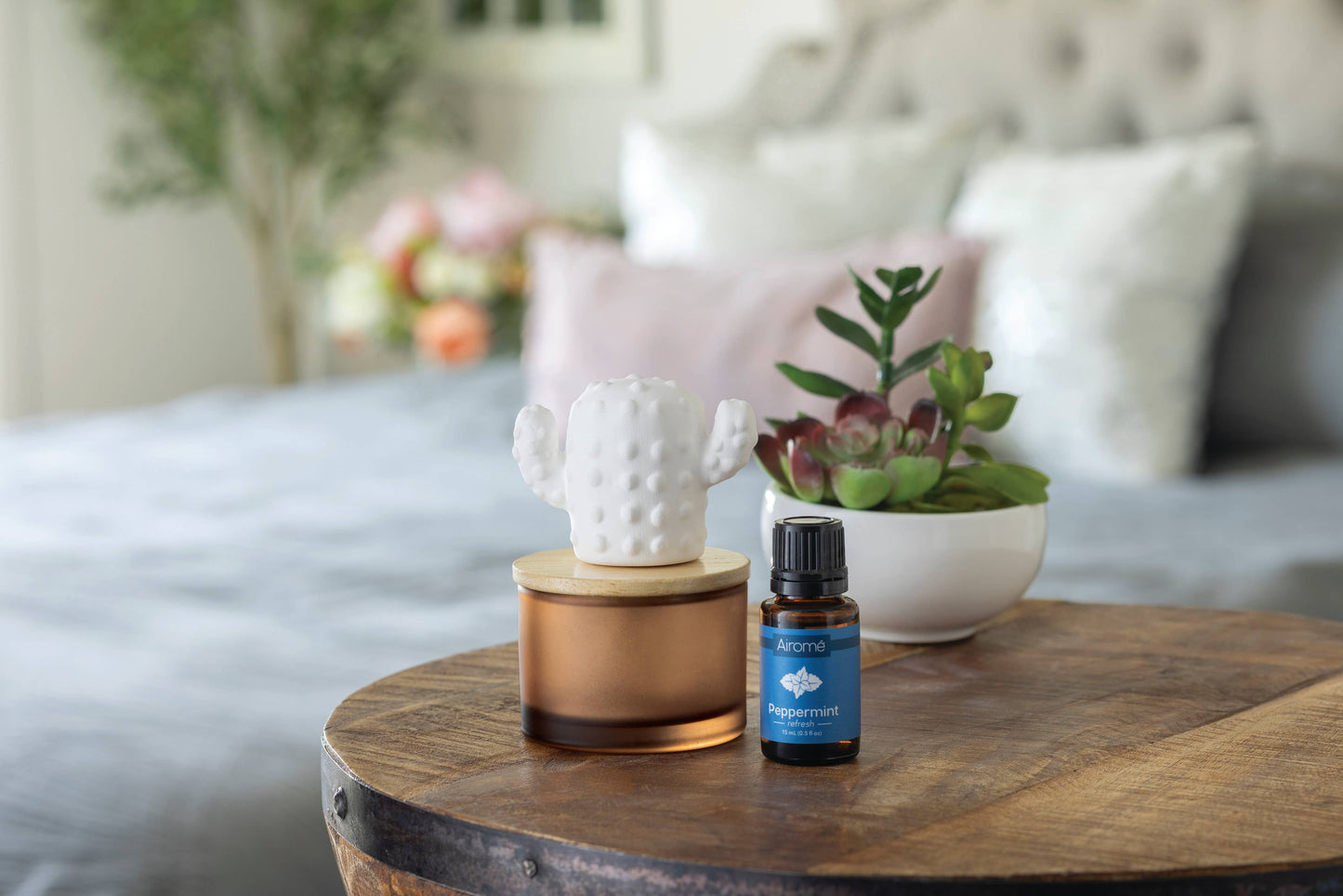 Cactus Porcelain Diffuser