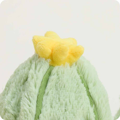 Cactus Warmies