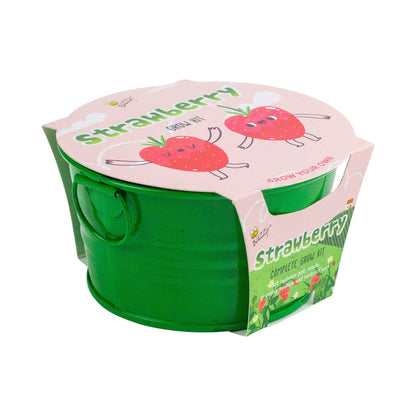 Kids Mini Basin Strawberry Grow Kit – Indoor Garden Gift