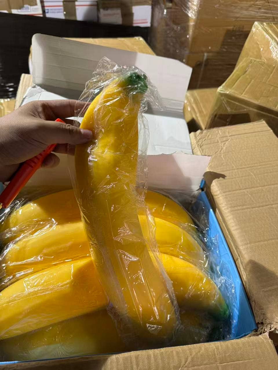 KING Sized 16” Limpy Banana 8pc | A132