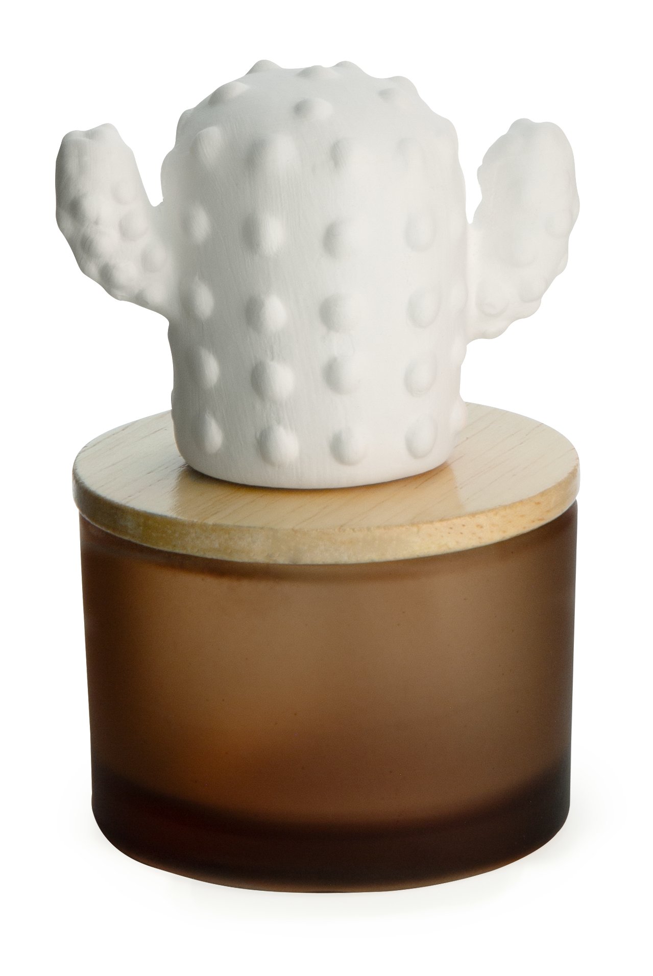 Cactus Porcelain Diffuser