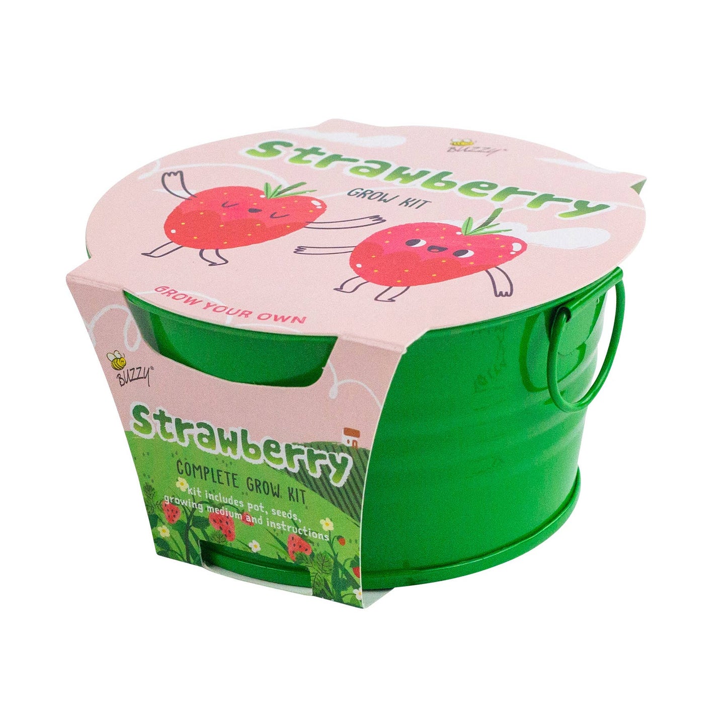 Kids Mini Basin Strawberry Grow Kit – Indoor Garden Gift