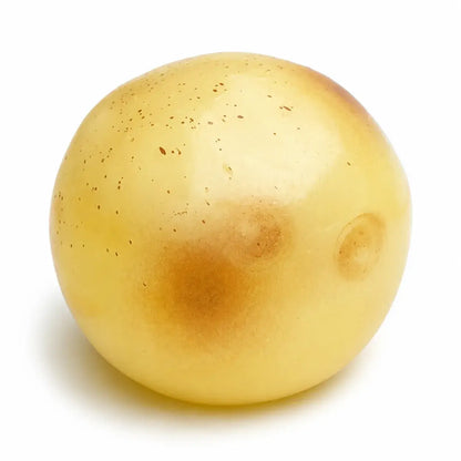 Coconut Oil Potato Squishy Stress Toy