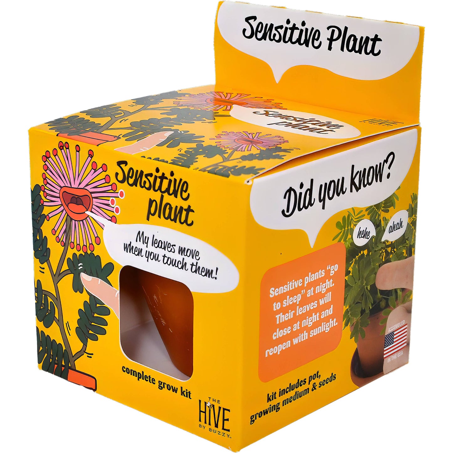 Sensitive Plant Grow Kit – Exotic Indoor Gardening Gift
