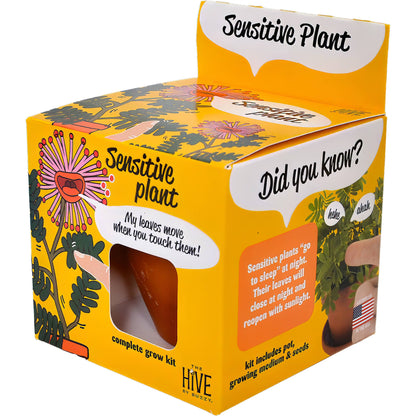 Sensitive Plant Grow Kit – Exotic Indoor Gardening Gift