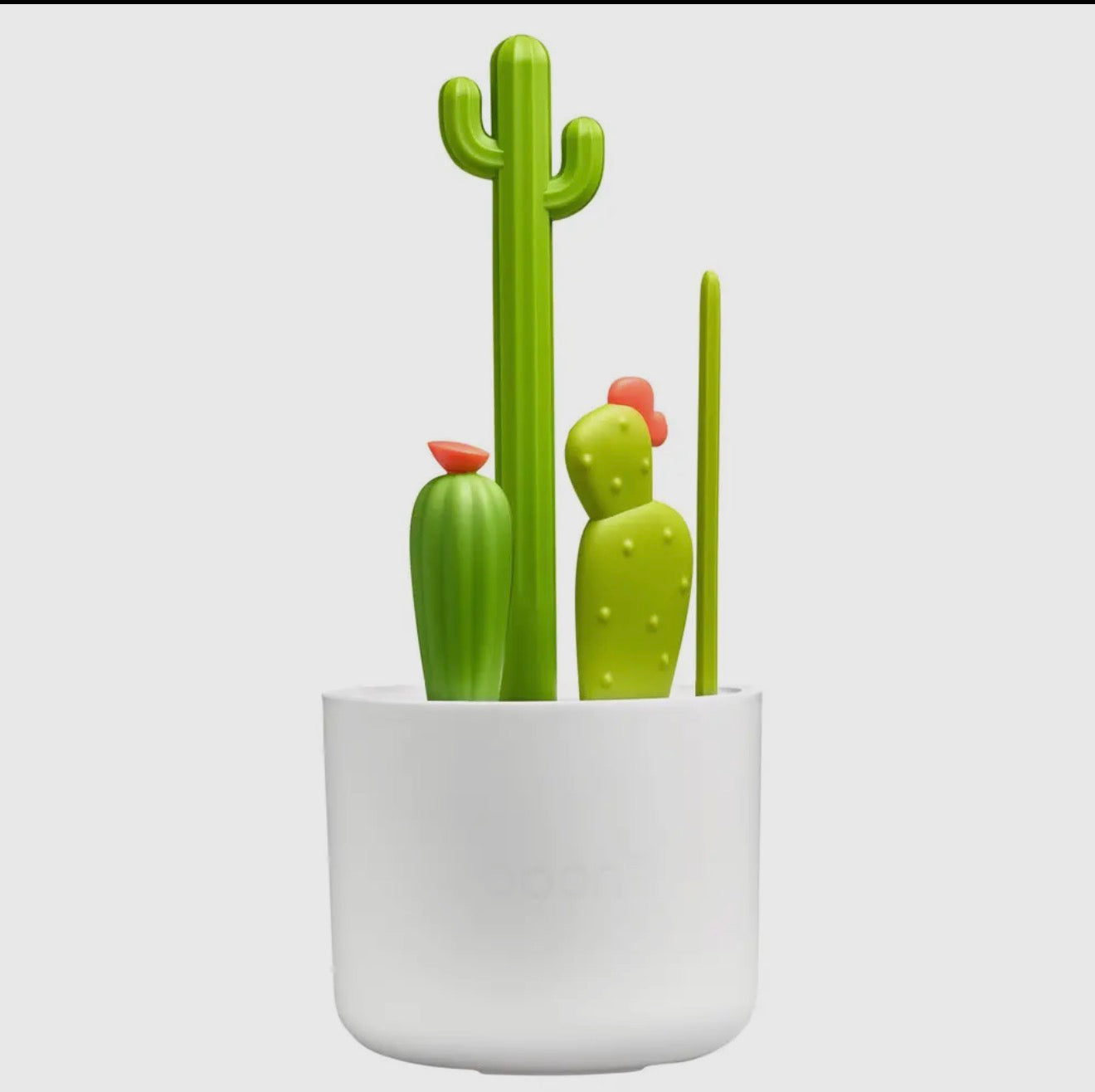 Cacti Bottle Cleaning Kit