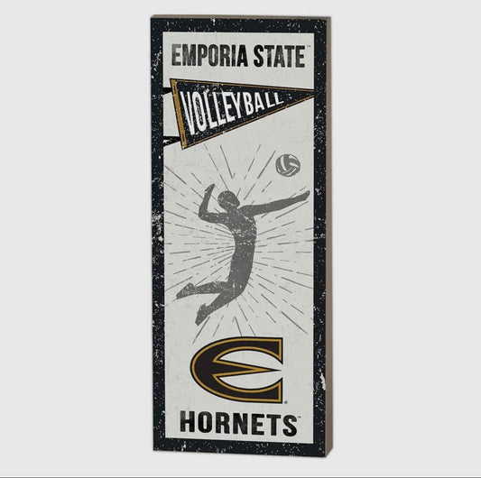 7x18 ESU Volleyball Sign