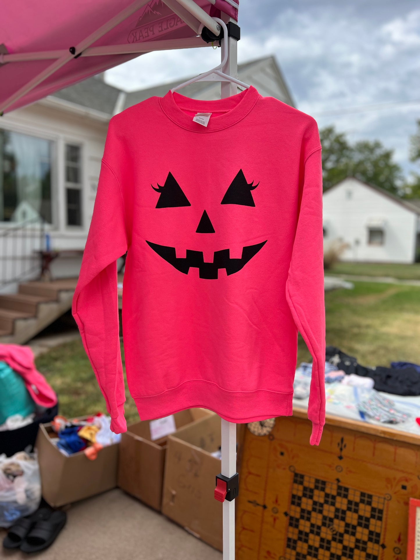 Pink Pumpkin Sweatshirt