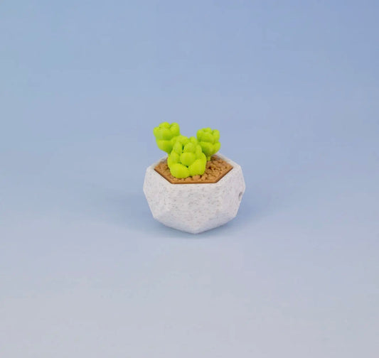 Fidget Clickies