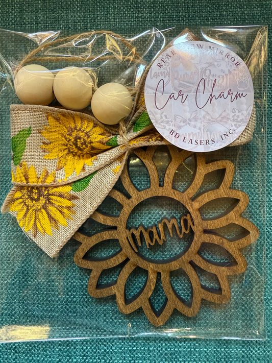 Rear View Mirror Charm