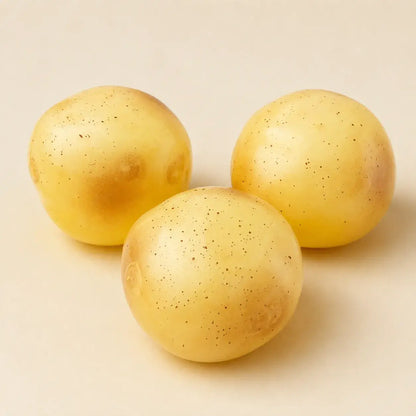 Coconut Oil Potato Squishy Stress Toy