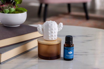 Cactus Porcelain Diffuser