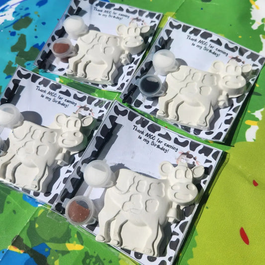 Plaster Paint Kits