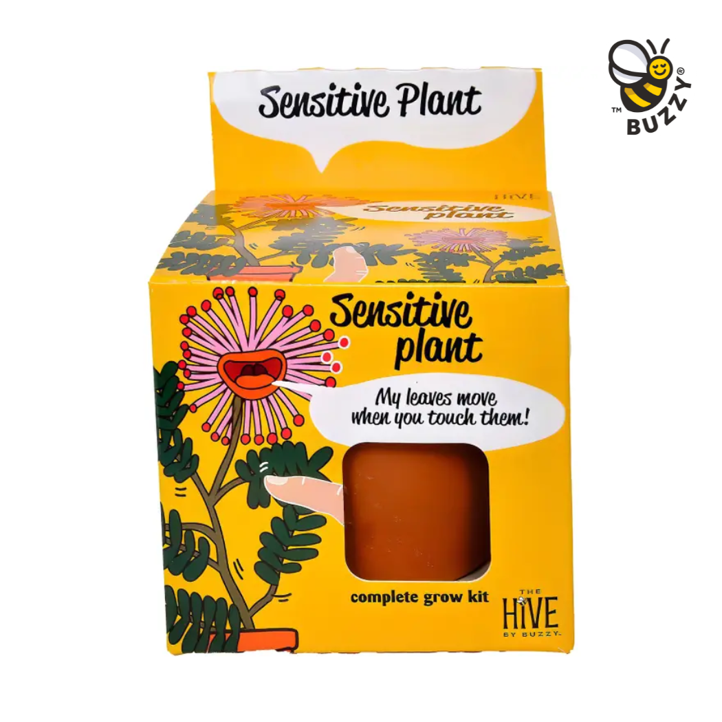 Sensitive Plant Grow Kit – Exotic Indoor Gardening Gift
