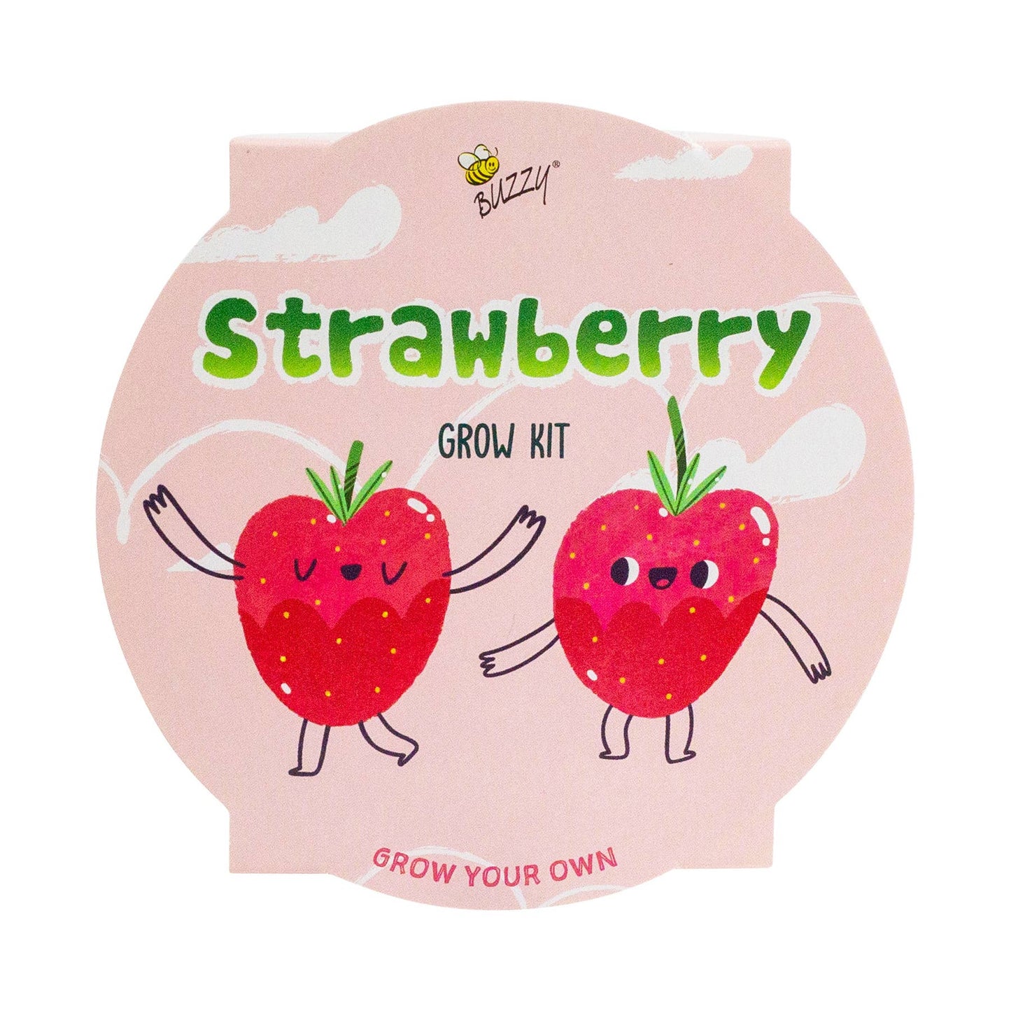 Kids Mini Basin Strawberry Grow Kit – Indoor Garden Gift