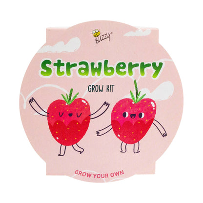 Kids Mini Basin Strawberry Grow Kit – Indoor Garden Gift