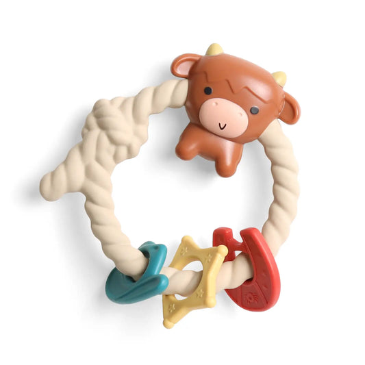 Silicone Teether Rattle